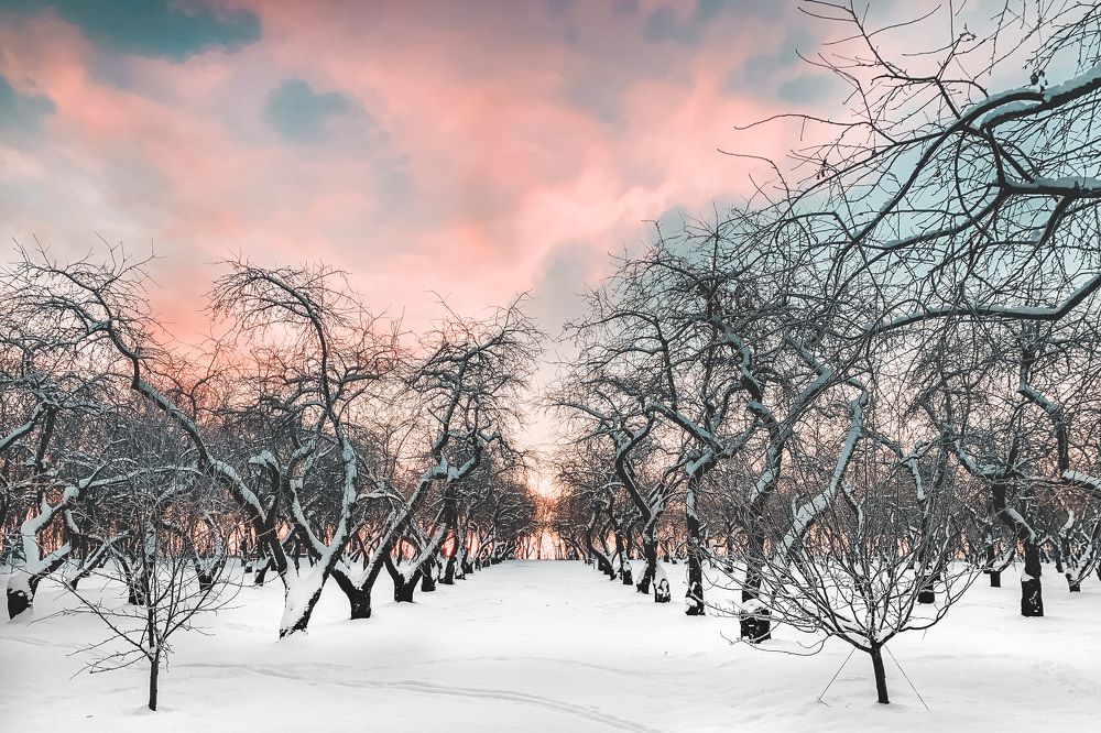 Photograph by Никита Борзов