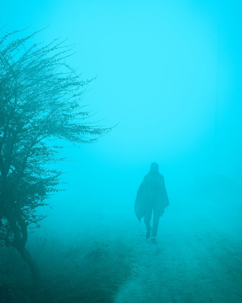 Photograph by Arnav Pratap