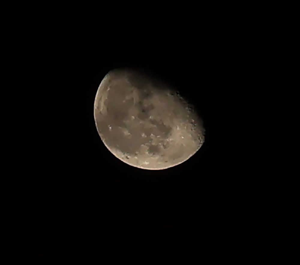 Photograph by Виктория Янушанис