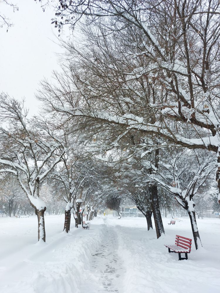 Photograph by ali bakhshi