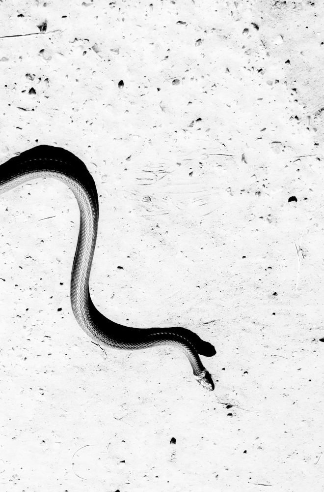 Photograph by Кунц