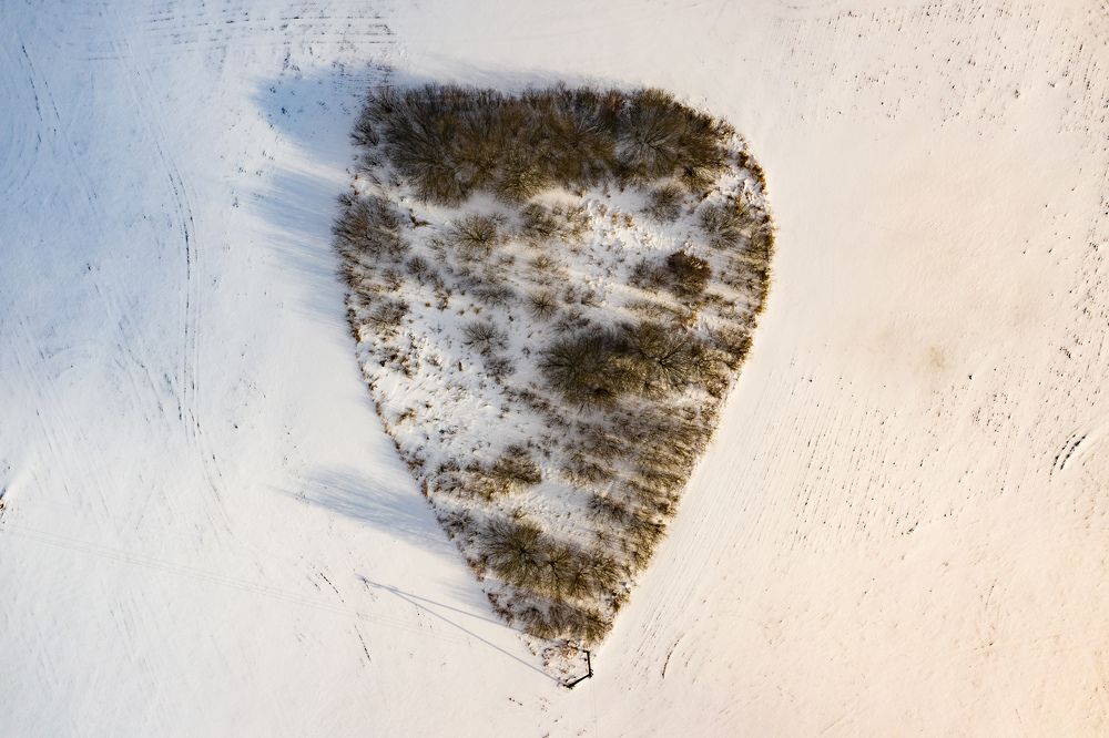 Photograph by Сергей Морозов