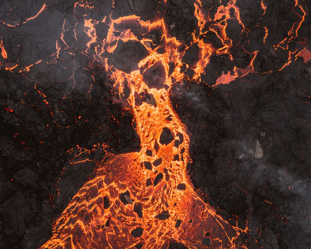 Photograph by Misha Martin