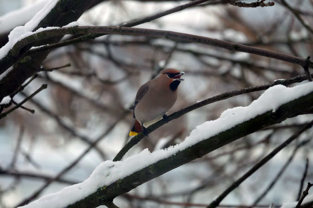 Photograph by Анна Сойтту