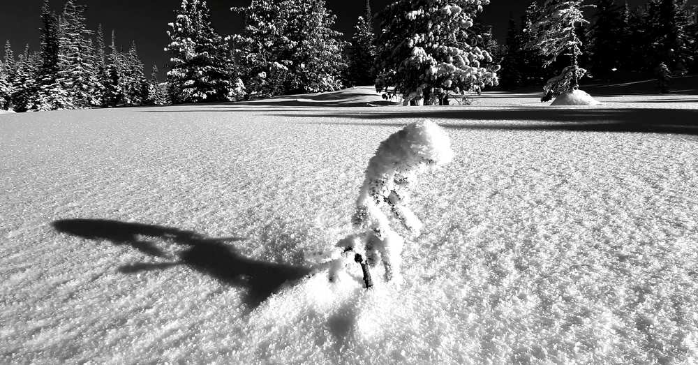 Photograph by Сергей Герасимов