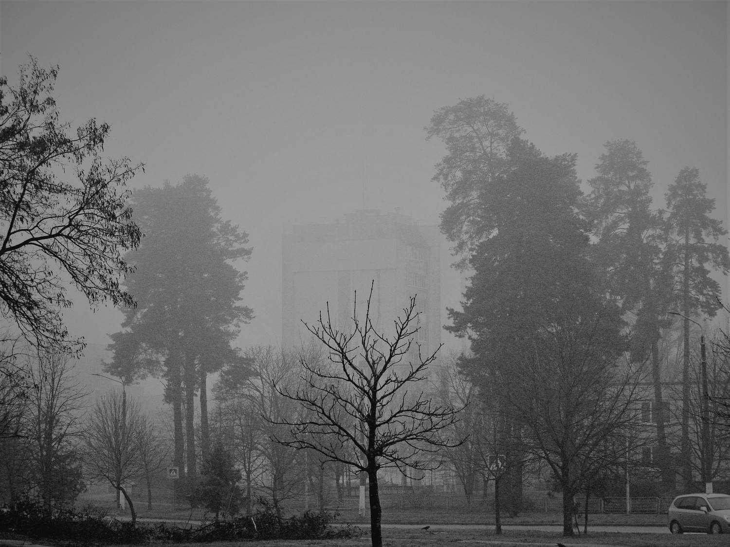 Photo #7141008