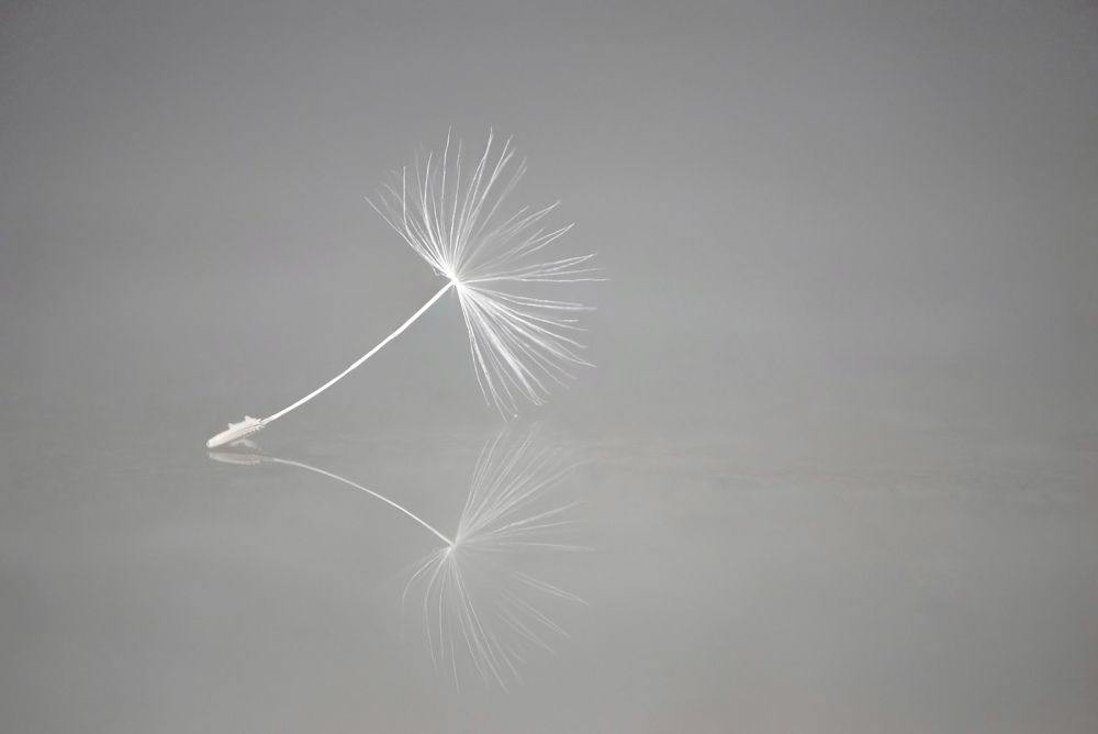 Фотография автора Evgeniya Fedorova