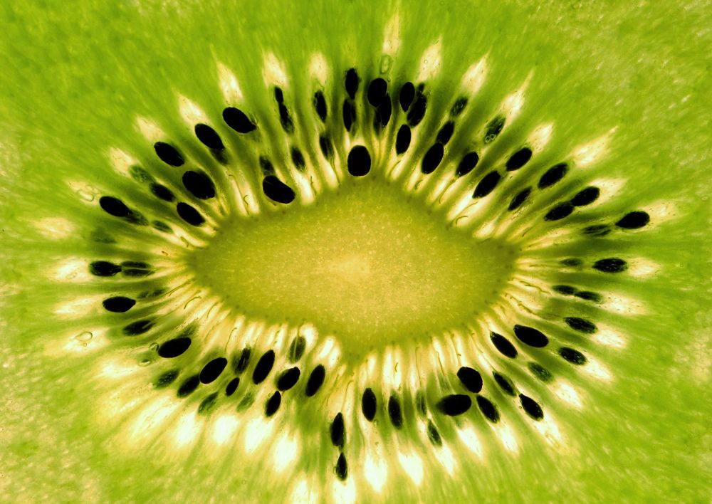 Фотография автора Evgeniya Fedorova