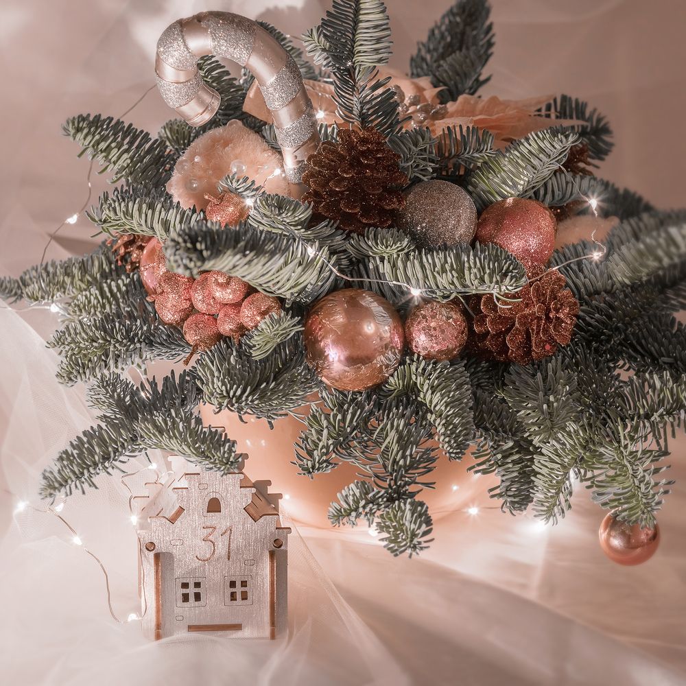 Photograph by Екатерина Рекина