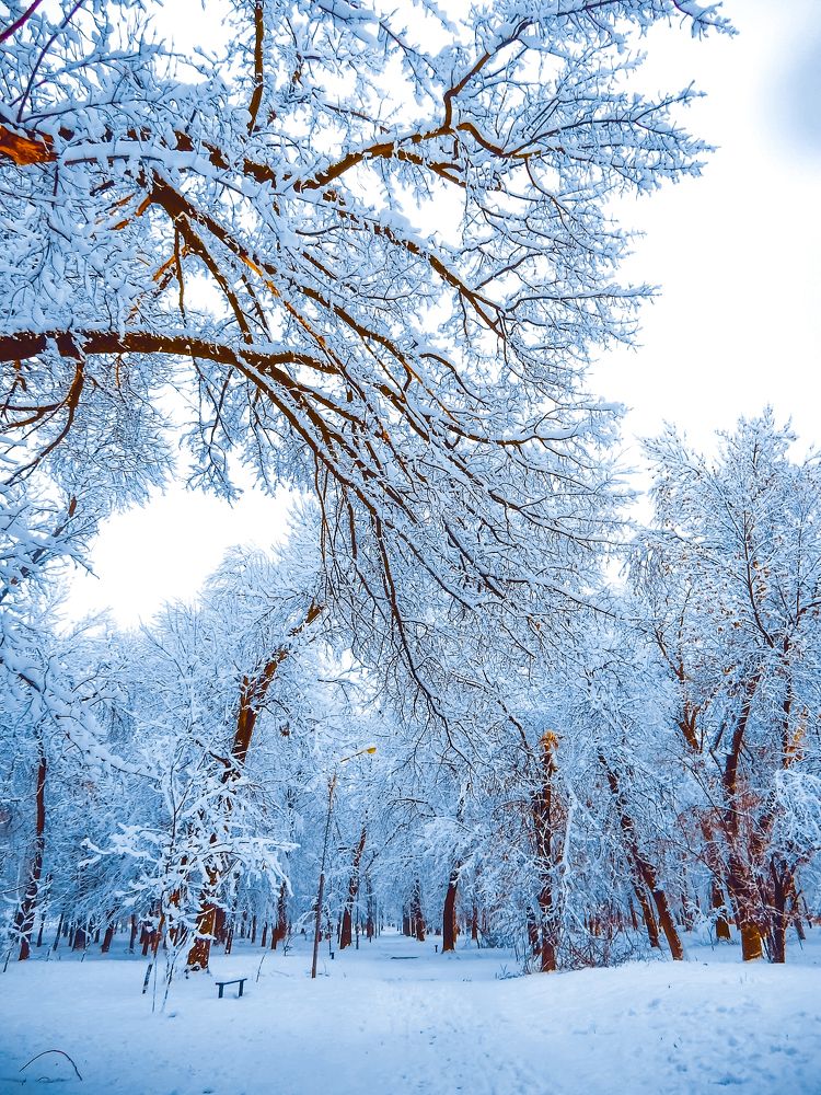 Photograph by Татьяна Слободчикова