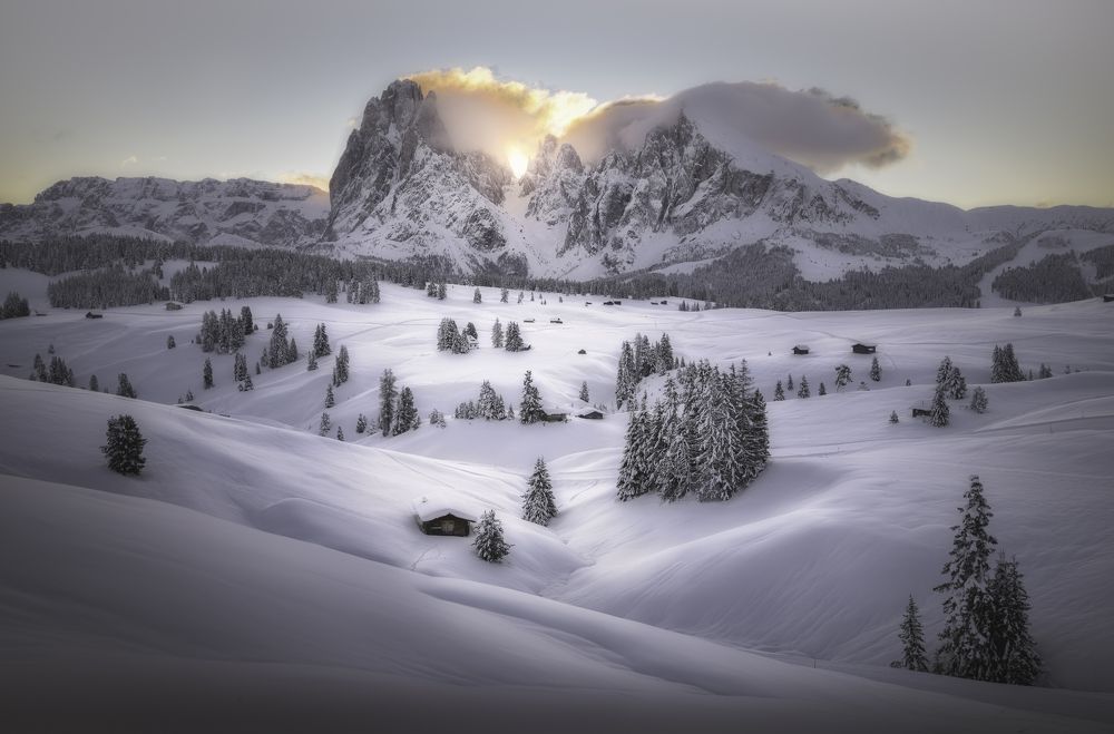 Photograph by NICOLA MANFREDI