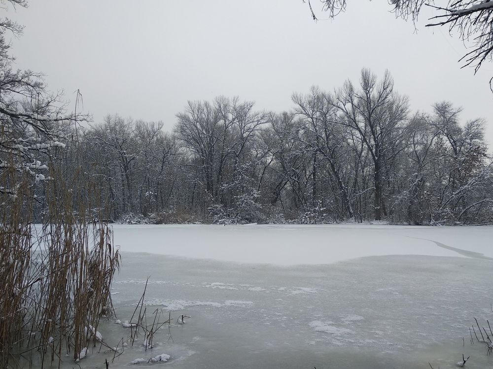 Photograph by Маргарита Глущенко