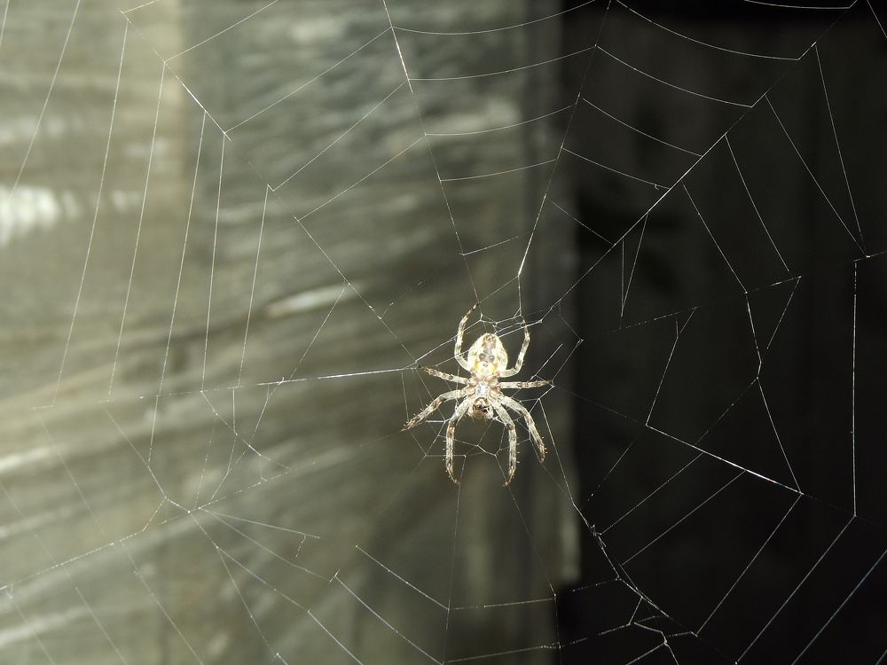 Фотография автора Геннадий Коробов