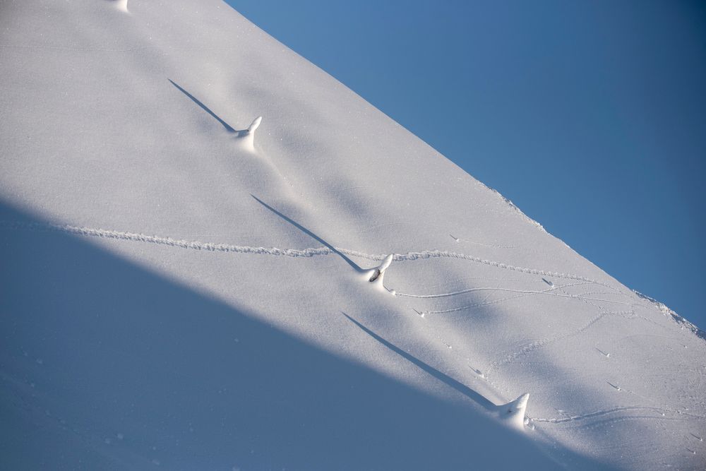 Photograph by Ala Botnarescu