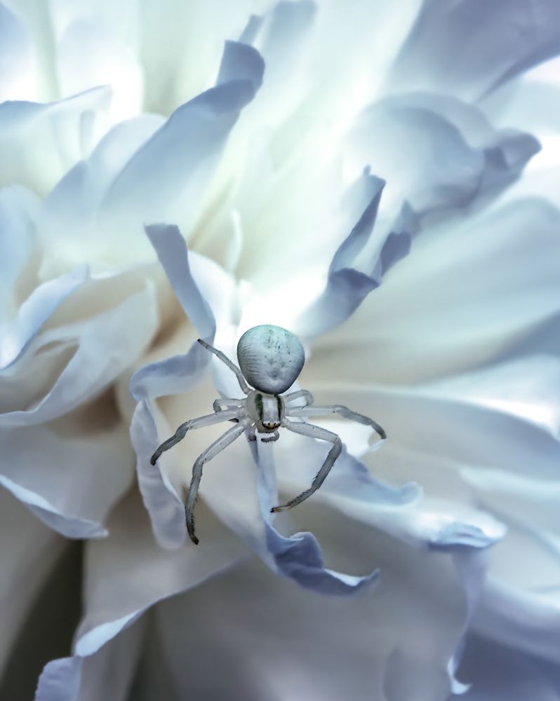 Photograph by Ирина Пикина