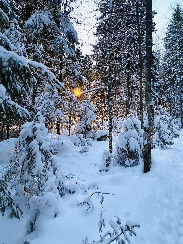 Photograph by Елена Ковалева