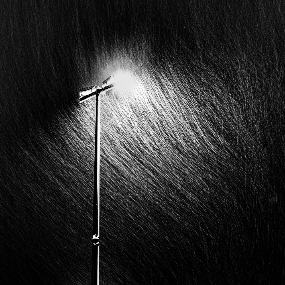 Photograph by Роман Врубель