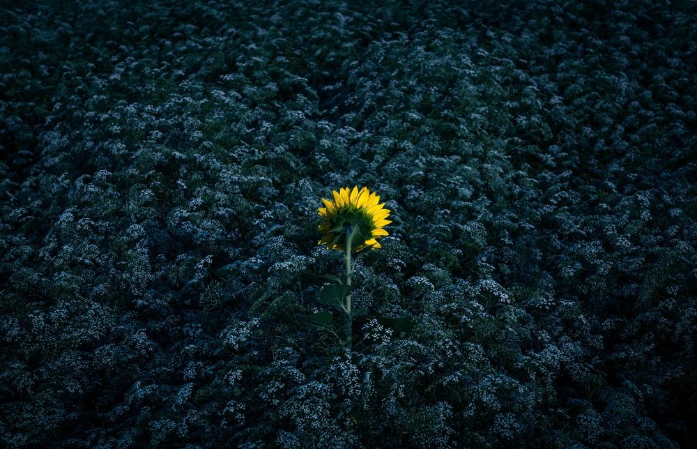 Photograph by Роман Врубель