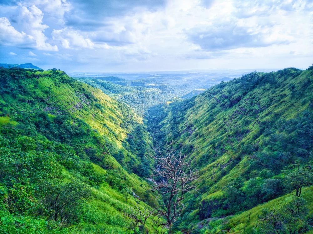 Photograph by Vicky Shah