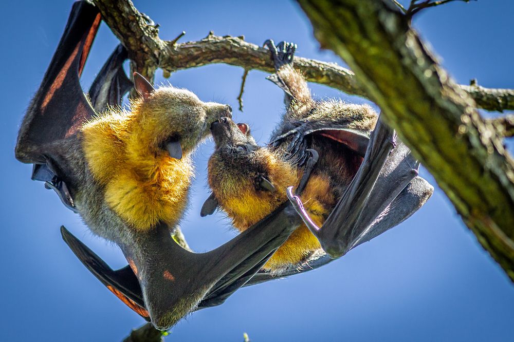 Photograph by Dmitriy Gussak