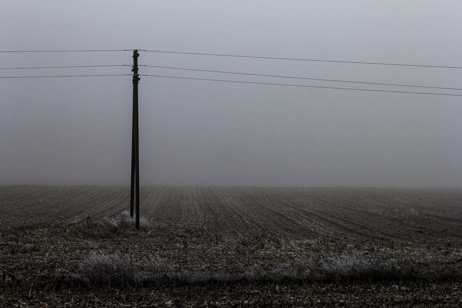 Photo #7141307