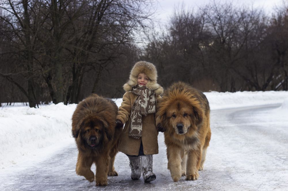 Photograph by Алеся Маклакова