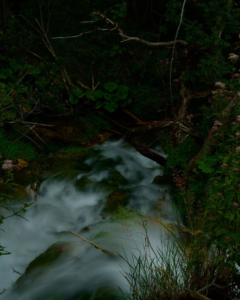 Фотография автора Владимир Хащанский