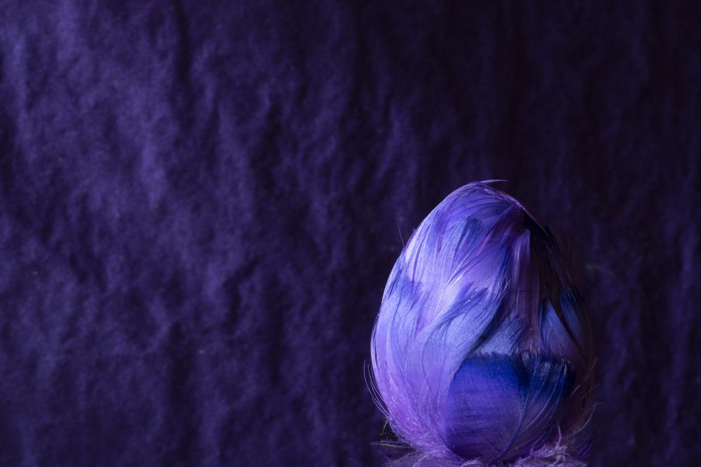 Фотография автора Ирина Зайцева