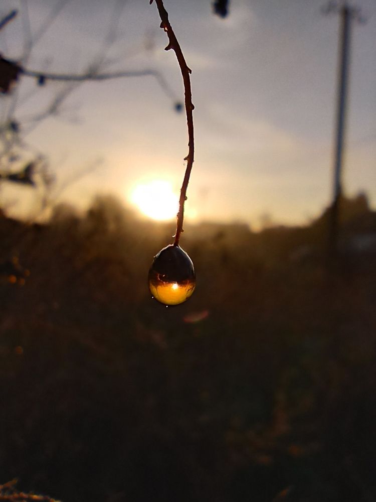 Фотография автора Татьяна Долгушева