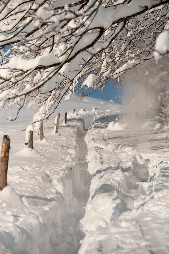 Photograph by Ala Botnarescu