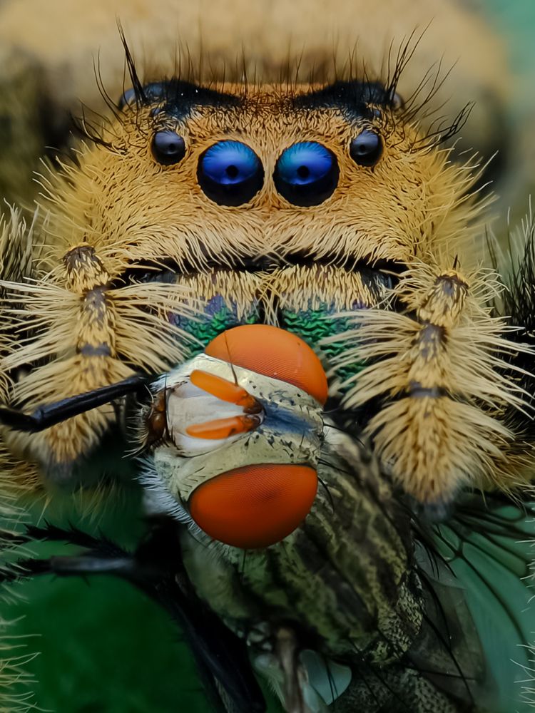 Photograph by Nirwan Asgard