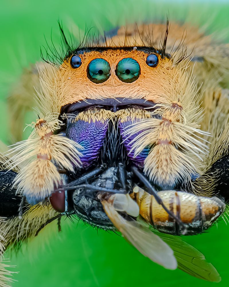 Photograph by Nirwan Asgard