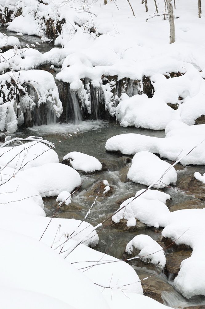 Photograph by Tatiana Serova