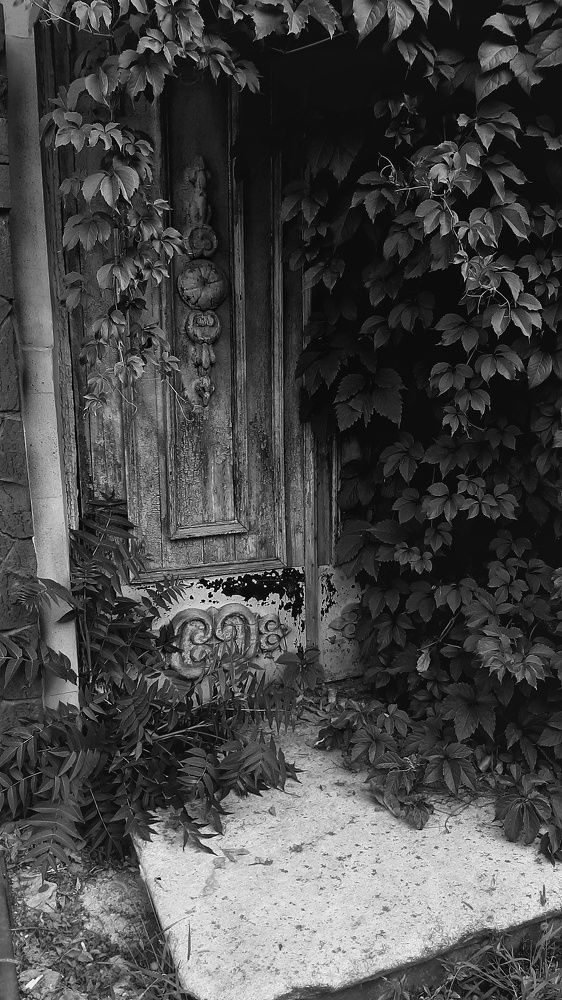 Photograph by Александр Лопатин