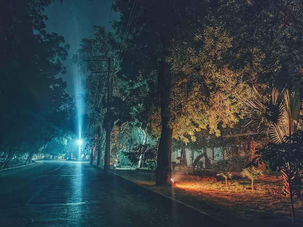 Photograph by Dr Abdullah Safeer