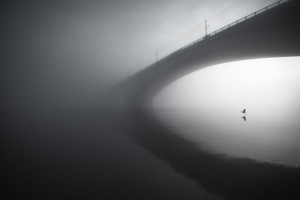 Photograph by Марина Огнева