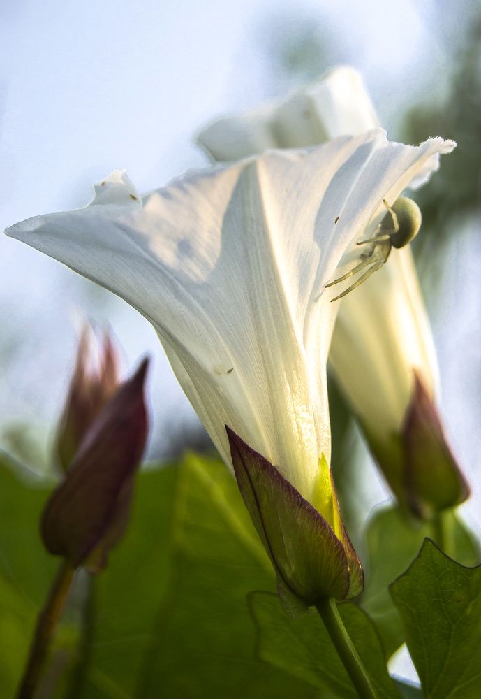 Фотография автора Геннадий Коробов