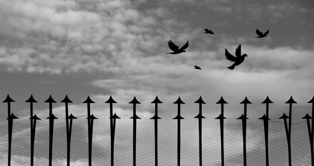 Photograph by Masoumeh Mahmoudi