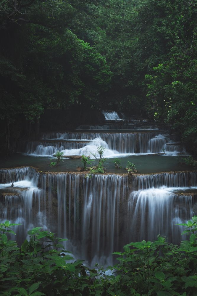 Photograph by Chonlawat Ratanakungwal