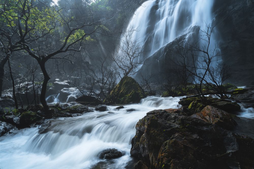 Photograph by Chonlawat Ratanakungwal