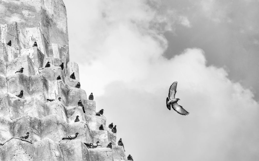 Photograph by Masoumeh Mahmoudi