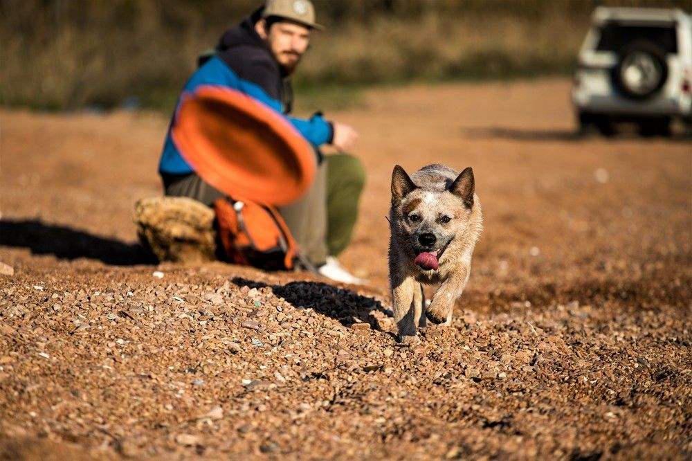 Photograph by Артем Пьянов