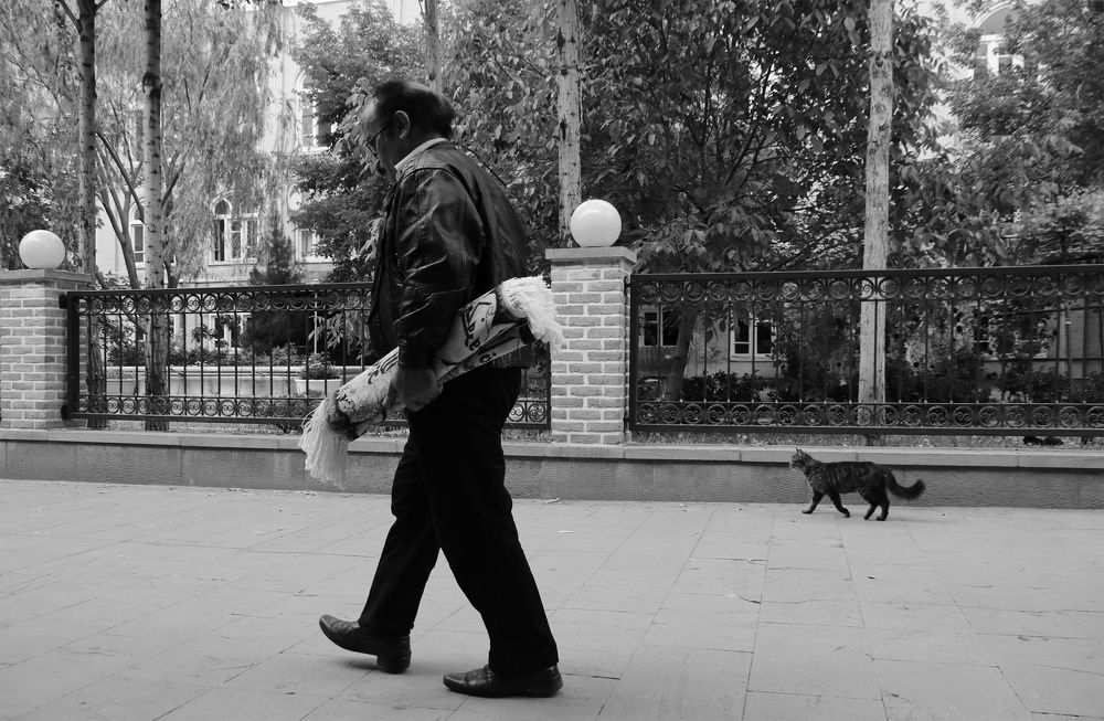 Photograph by Amin moradi