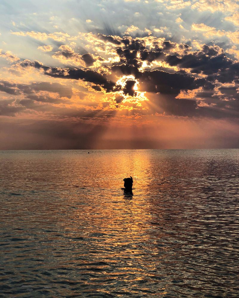 Photograph by Лариса