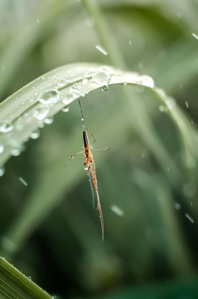 Photograph by Ирина Авельви