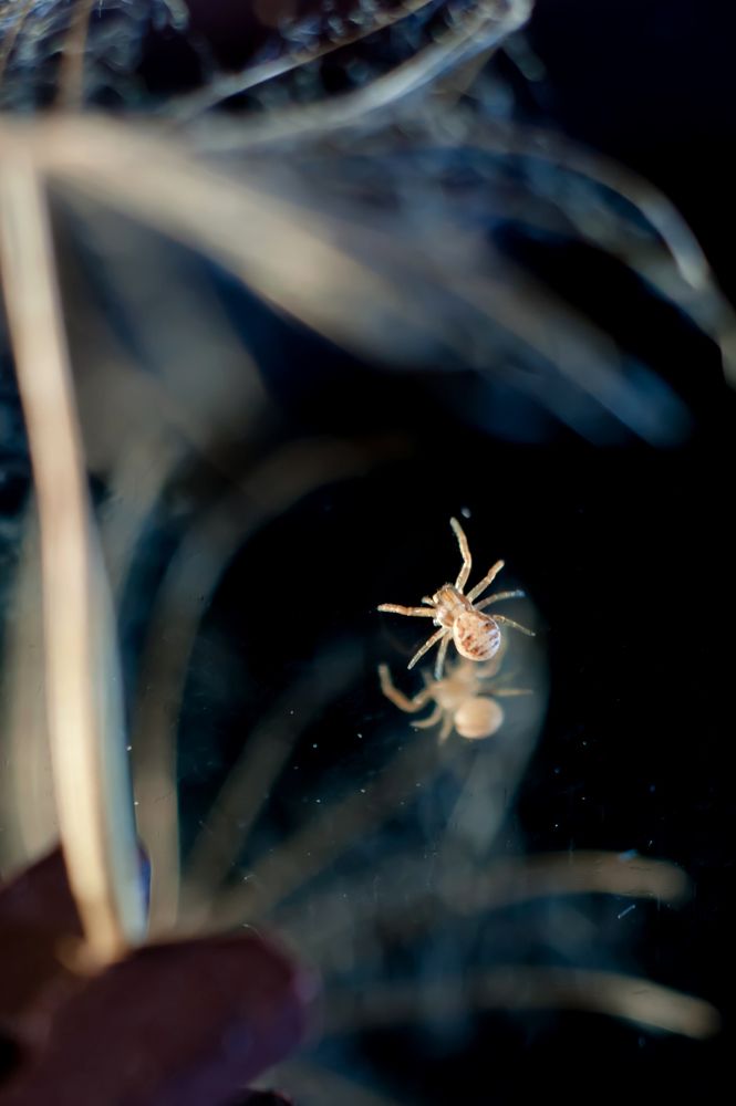 Photograph by Ирина Авельви