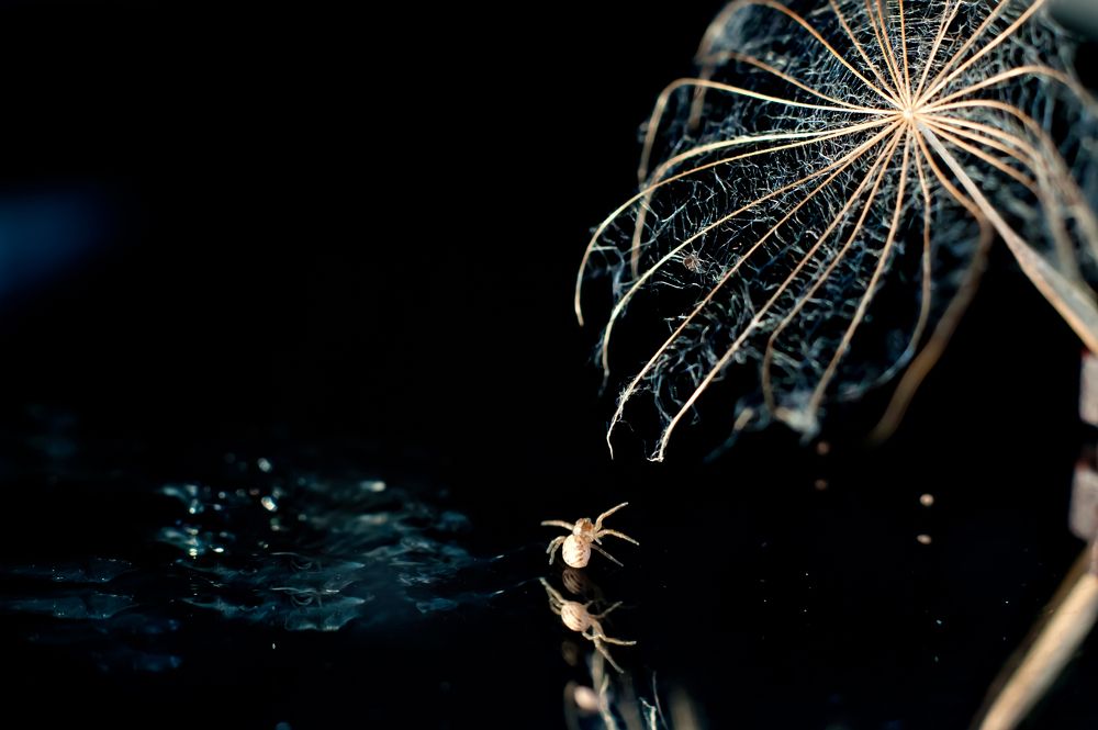 Photograph by Ирина Авельви