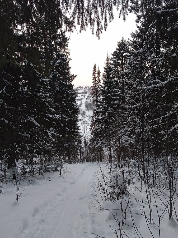 Photo #7141618