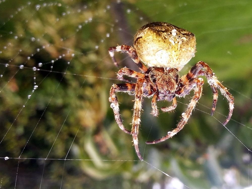 Photograph by Сергей Жигульский