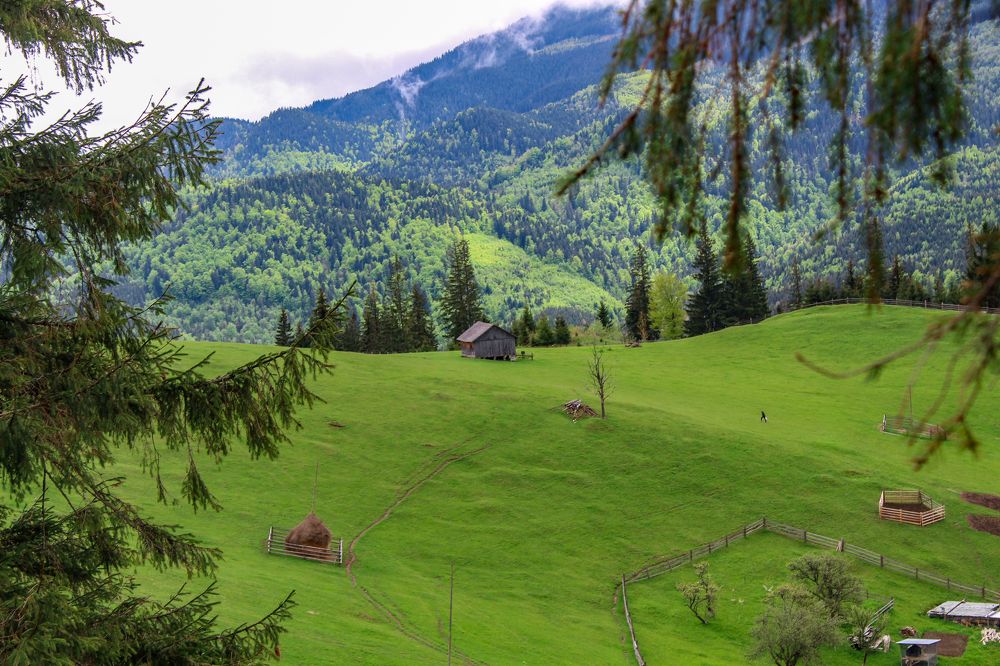 Фотография автора Наталія Савка